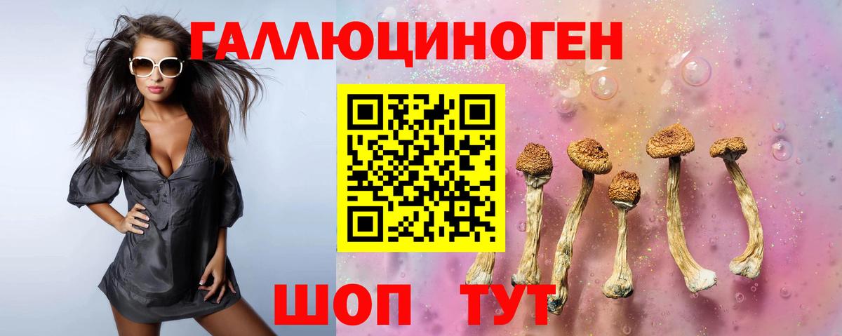 Псилоцибиновые грибы прущие грибы Родники
