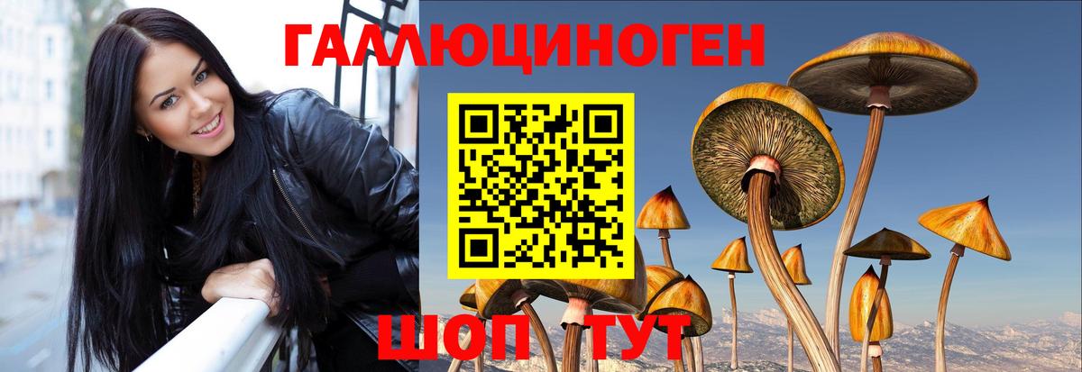 Родники  Галлюциногенные грибы прущие грибы  Вход с VPN 